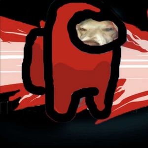 Meet your Posher, Sierra